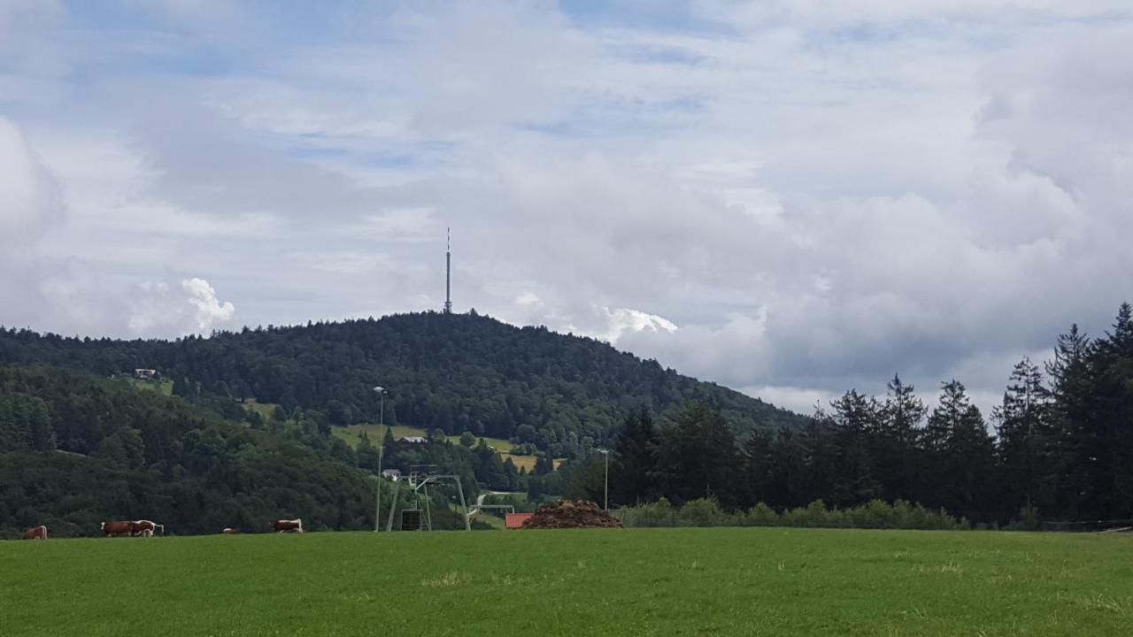 Ferienbungalow Sonnenwald Bayerischer Wald Schöfweg